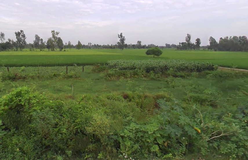 Basti, Uttar Pradesh 225001, India