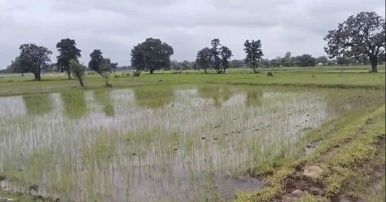 Chaukhada, Madhya Pradesh 486220, India