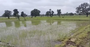 Chaukhada, Madhya Pradesh 486220, India preview 2