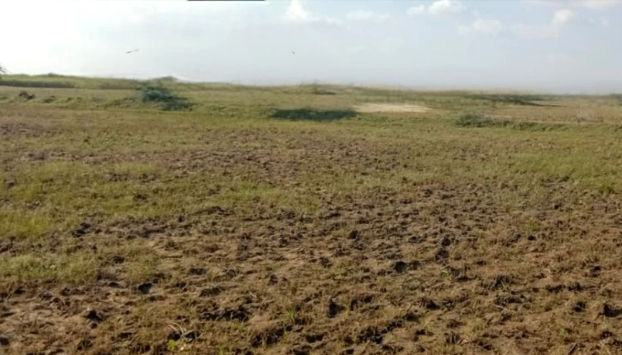 Ghorbhatt, Chhattisgarh 493225, India