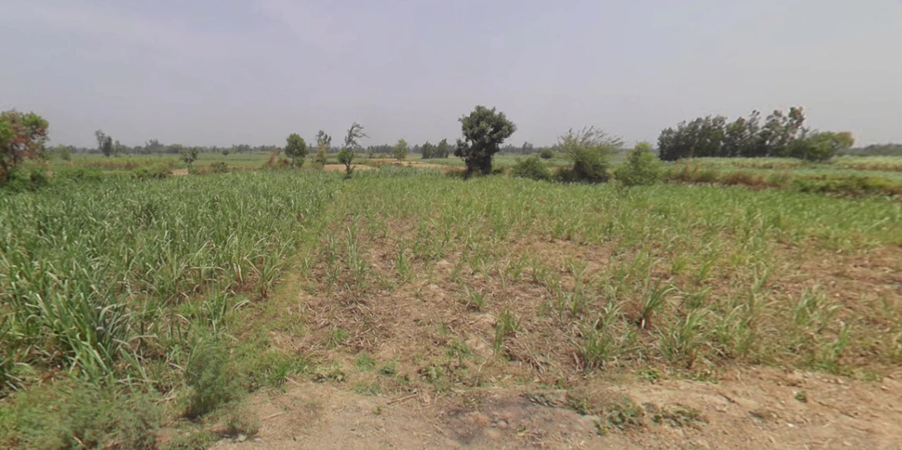 Amroha, Uttar Pradesh, India