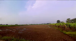 Bhagwanpur, Uttarakhand 247661, India preview 3