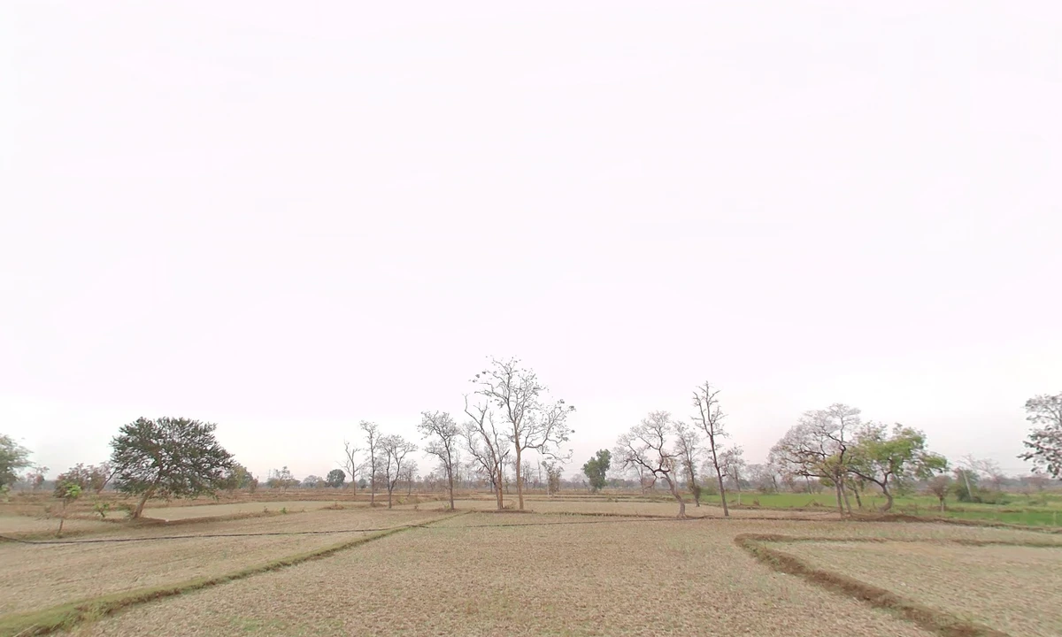 Akaltara, Chhattisgarh 495552, India