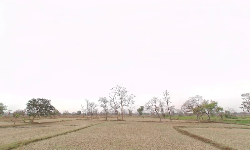 Akaltara, Chhattisgarh 495552, India preview 2