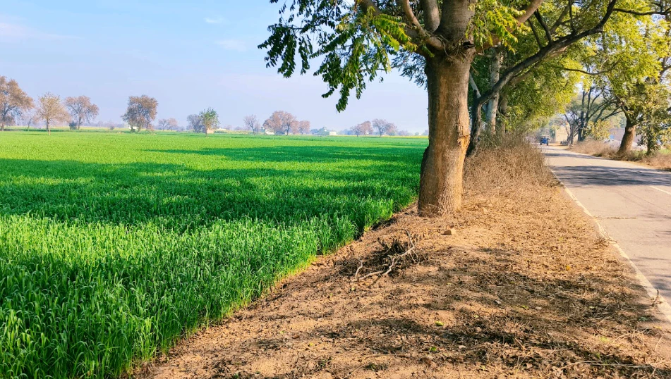Boria Kal, Chhattisgarh 492015, India