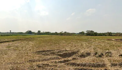 Reddipalle Agrahram, Andhra Pradesh 531219, India preview 2