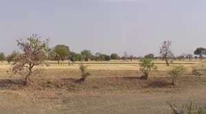 Tanodiya, Madhya Pradesh, India preview 2