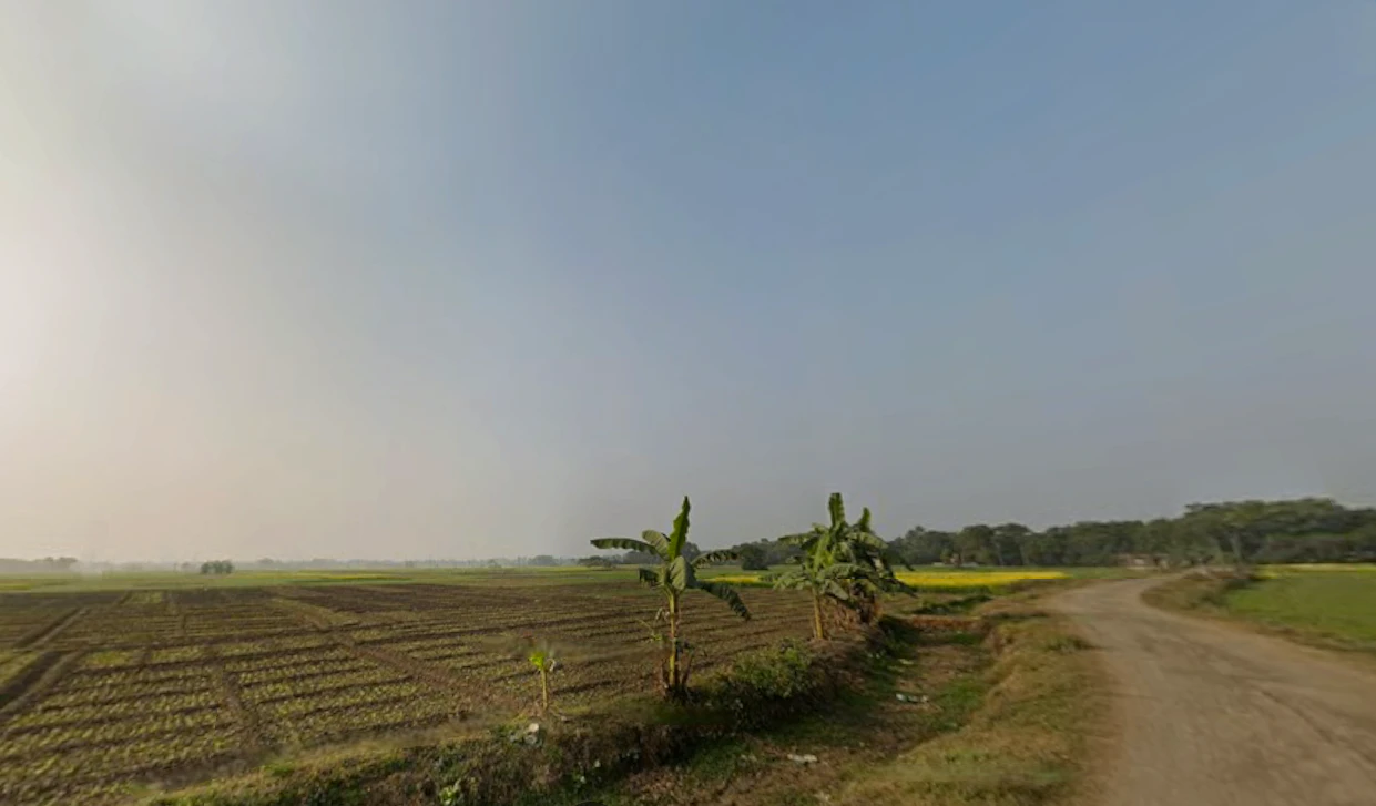 Shikharpur P.O, Bagu, Newtown, Sikharpur, Kolkata, West Bengal 700135, India