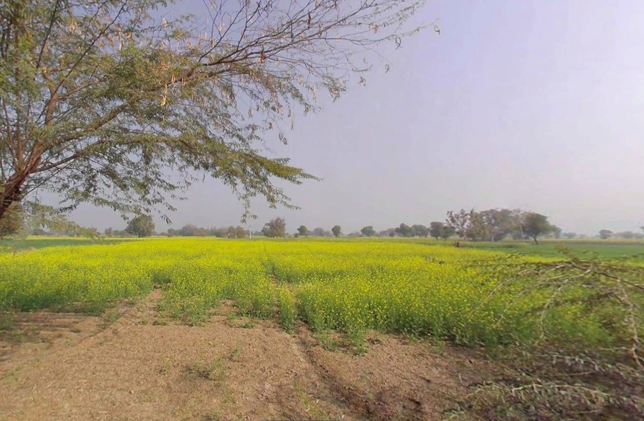 9R6C+433, Maujpur, Rajasthan 321633, India preview 3