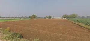 2RQR+9H5, Pallano Math, Mirapur, Gujarat 382308, India preview 2