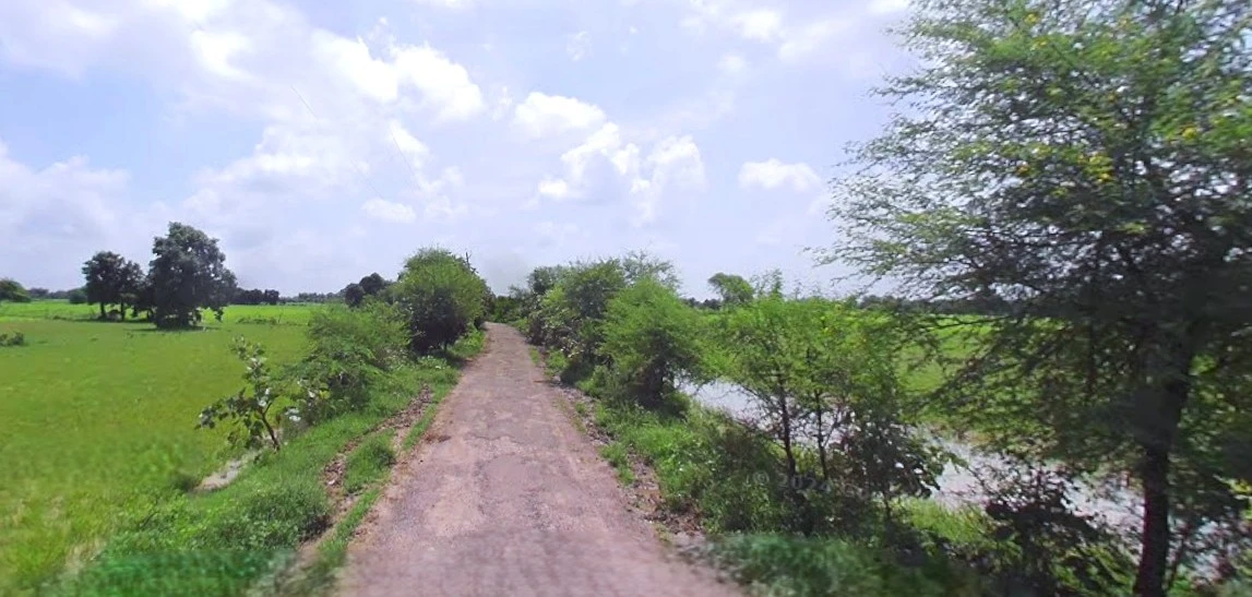 Bijnor, Uttar Pradesh 246701, India