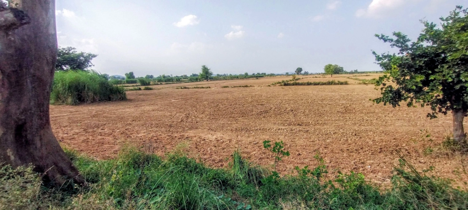 Nagla Chahar, Rajasthan 321203, India