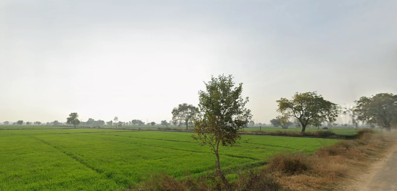 Hansi, Haryana 125033, India