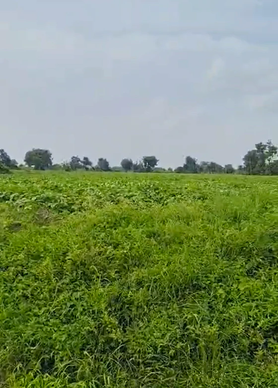 Ghosla, Ujjain, Madhya Pradesh 456550, India