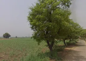 Daurala, Uttar Pradesh 250221, India preview 3