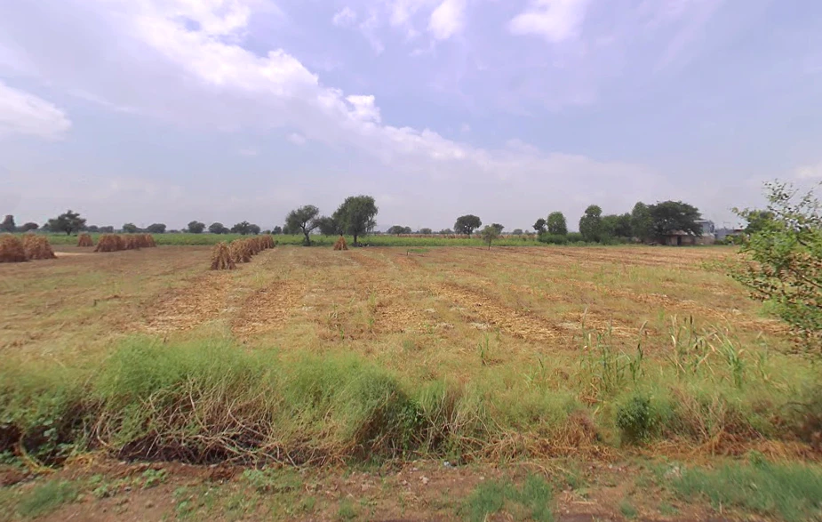 Jant, Haryana, India