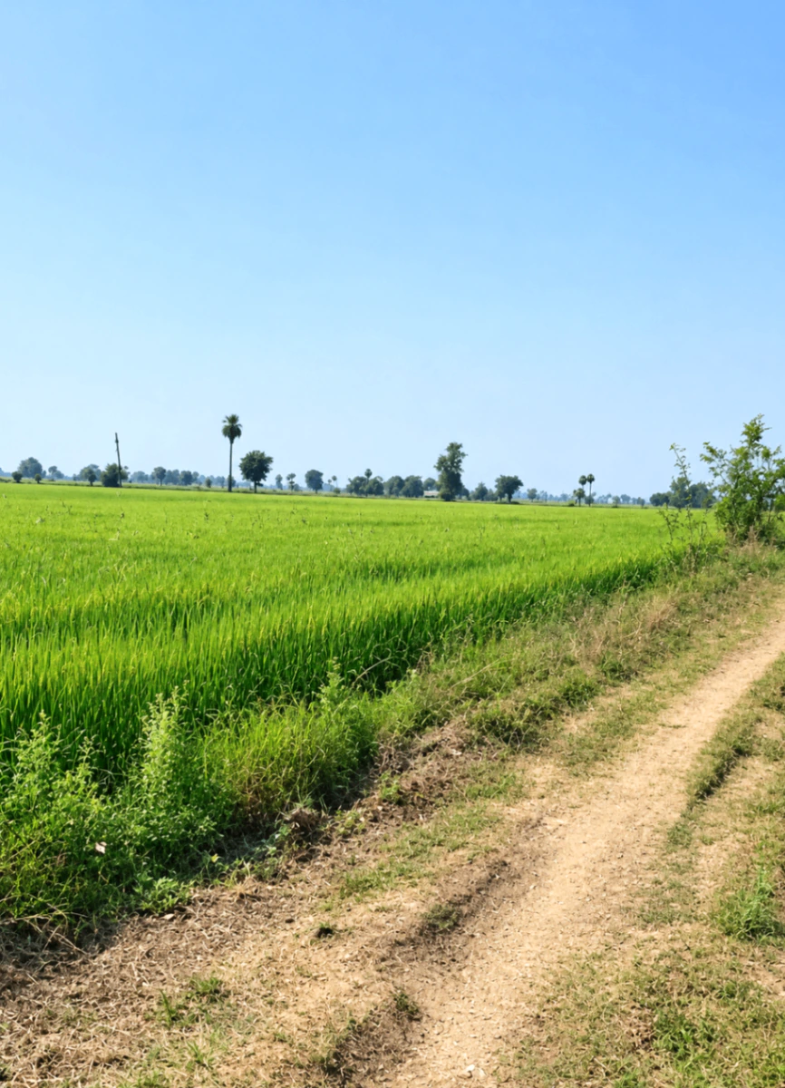 Gunihari, Sahibganj, Jharkhand, India - Photo 4