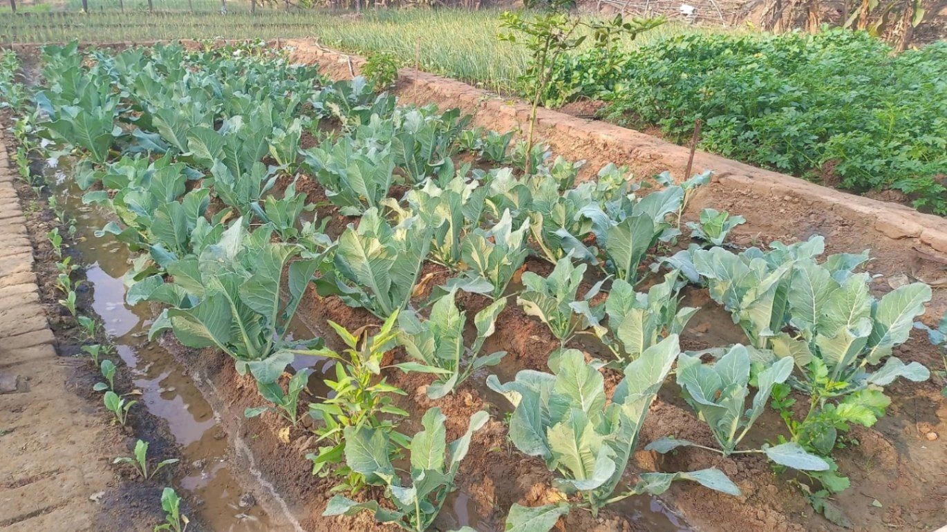 2JG5+VMV, Aligarh, Nagla Birja, Uttar Pradesh 202165, India preview 3