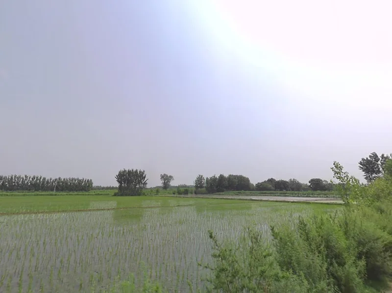 Moga, Punjab, India preview 2