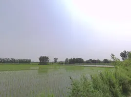 Moga, Punjab, India preview 2