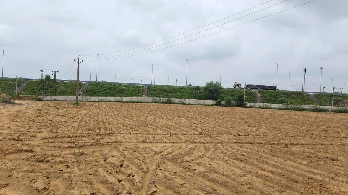 Seetal, Rajasthan 301021, India