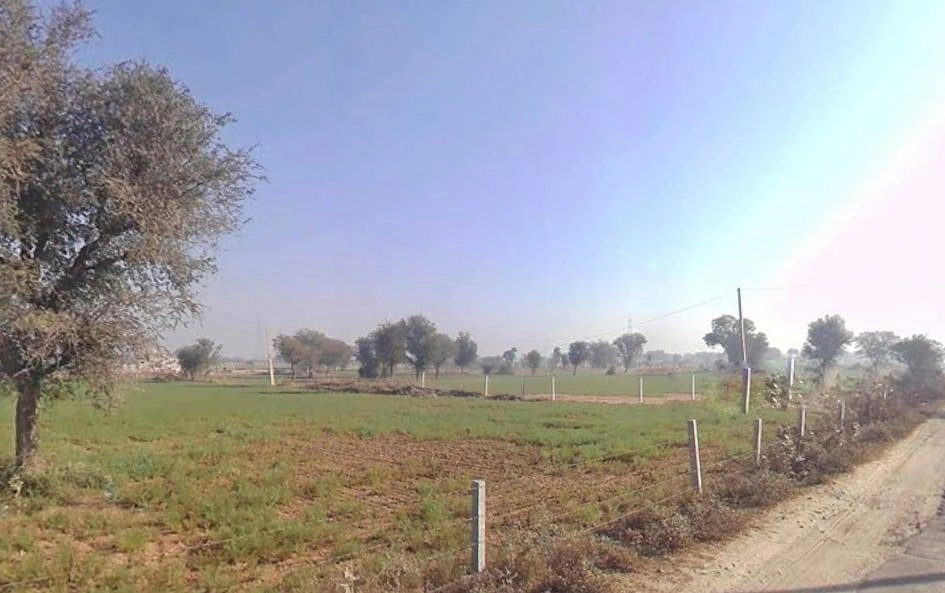 MJGV+GWV, Harsooliya, Rajasthan 303904, India