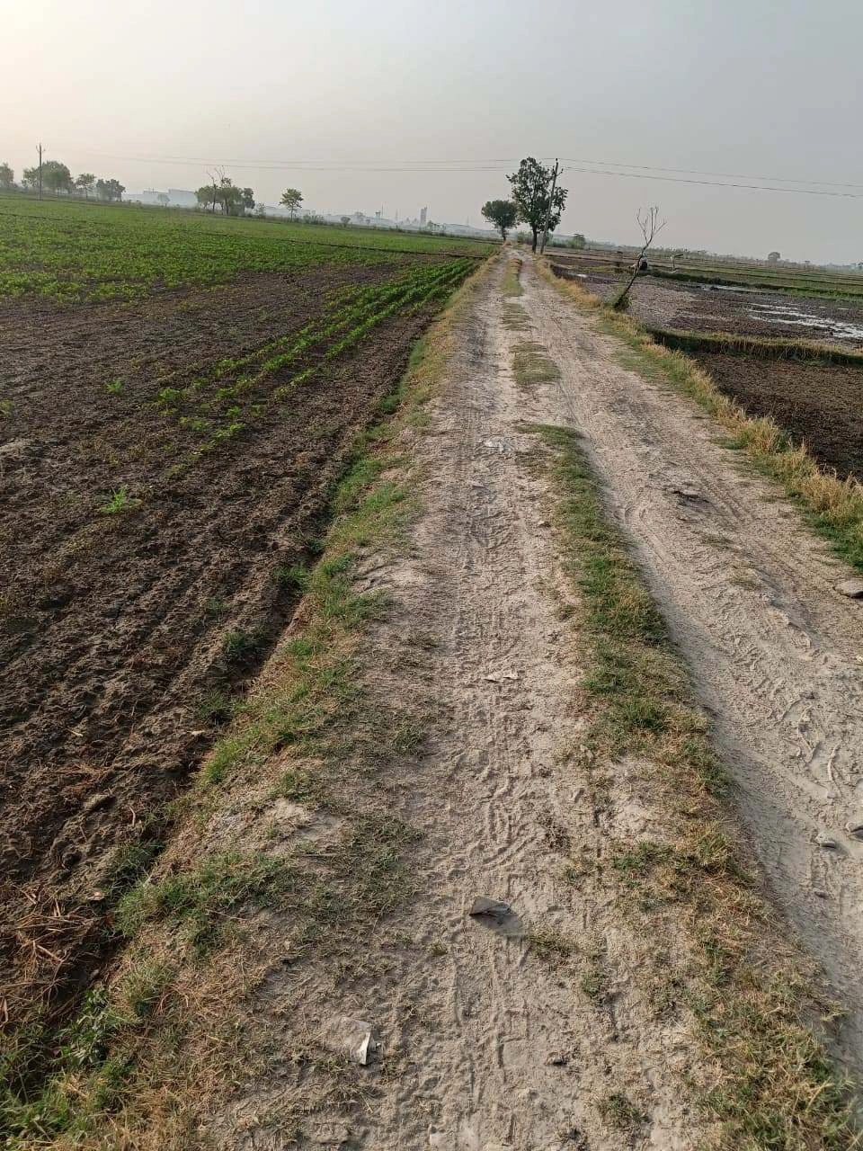 Tentigaon, Uttar Pradesh, India