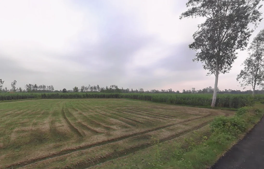 Purquazi, Uttar Pradesh, India preview 2