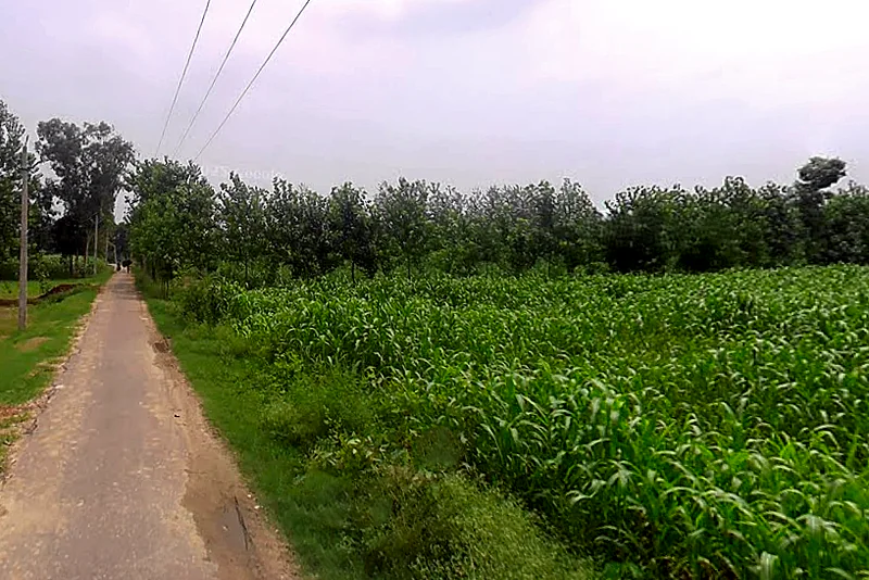 Salampur Gadda, Uttar Pradesh 247001, India preview 2