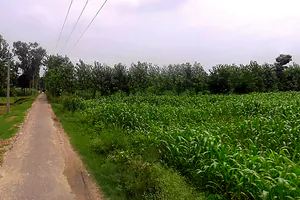 Salampur Gadda, Uttar Pradesh 247001, India preview 2