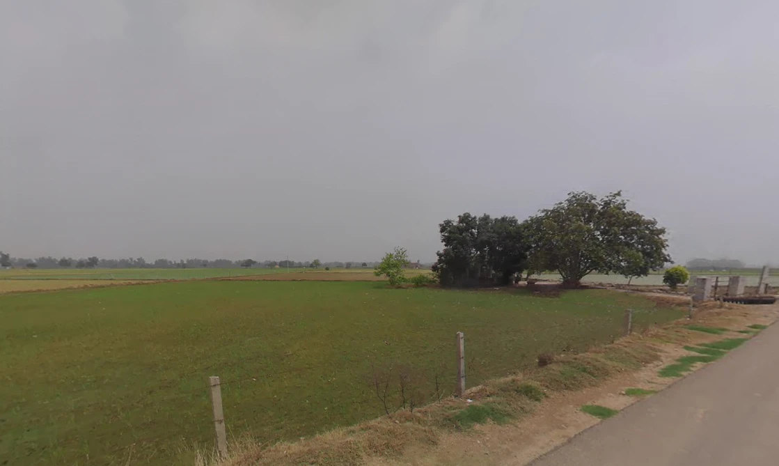 Gurana, Haryana 125005, India