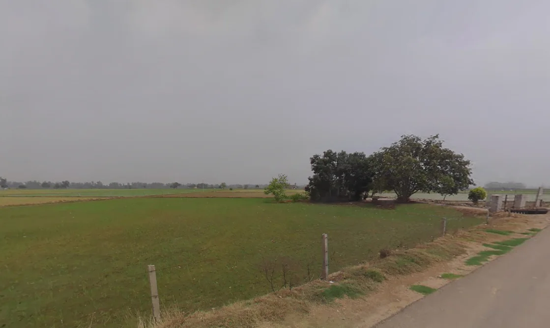 Gurana, Haryana 125005, India preview 2