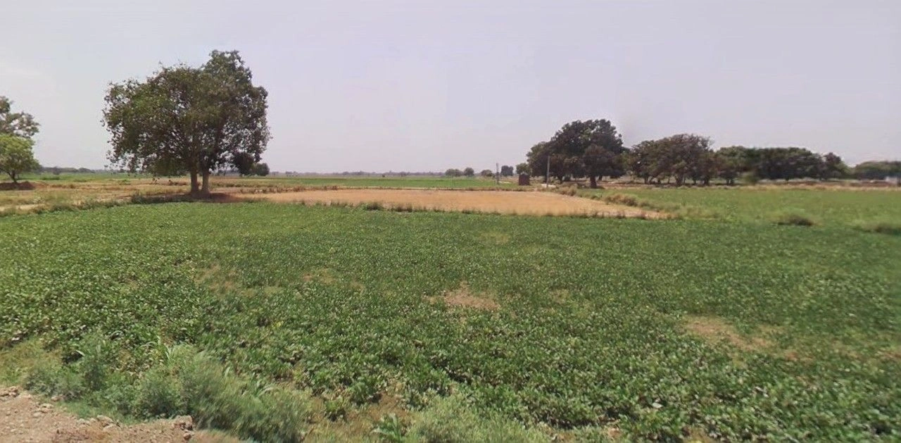 Jewar, Uttar Pradesh 203135, India