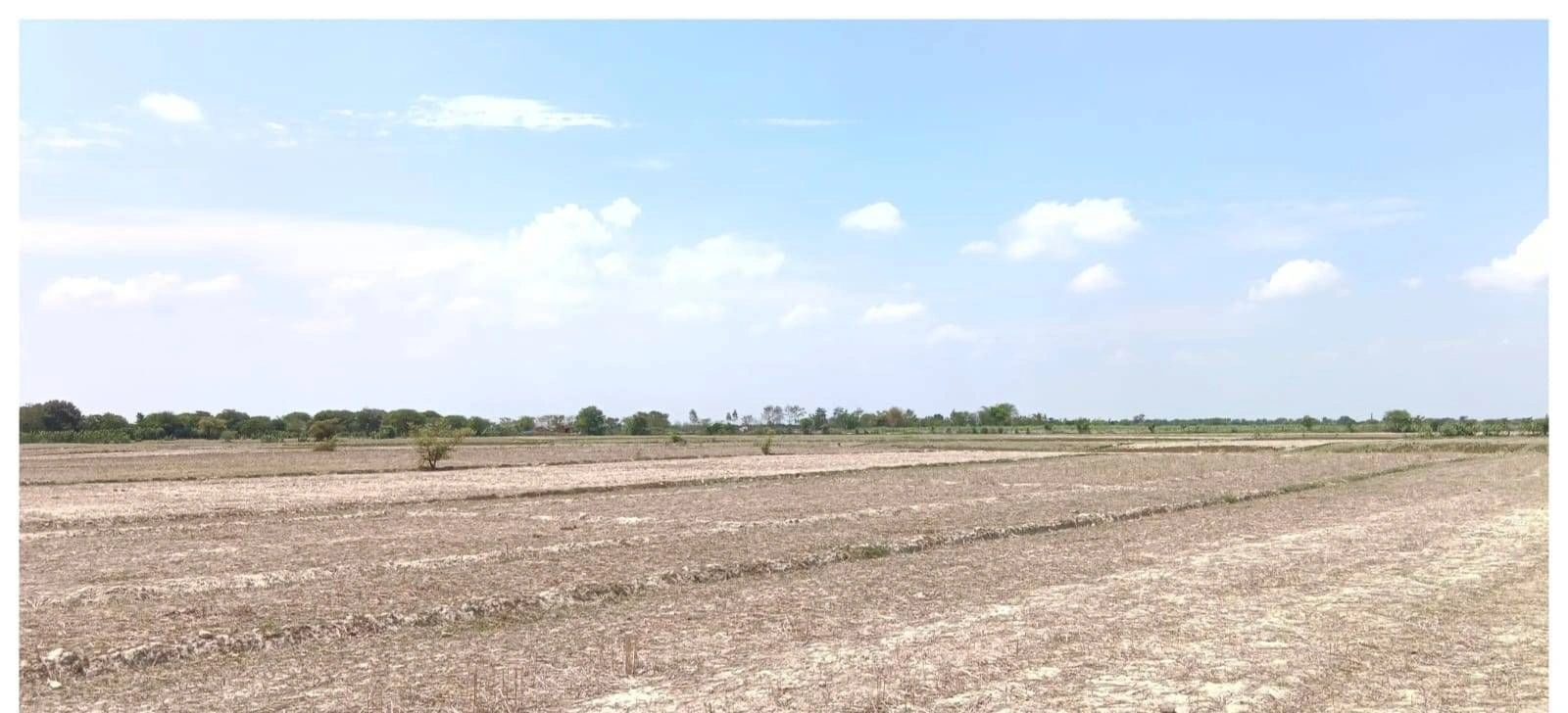 H3C5+J8 Niyamatpur, Ayodhya, Uttar Pradesh, India