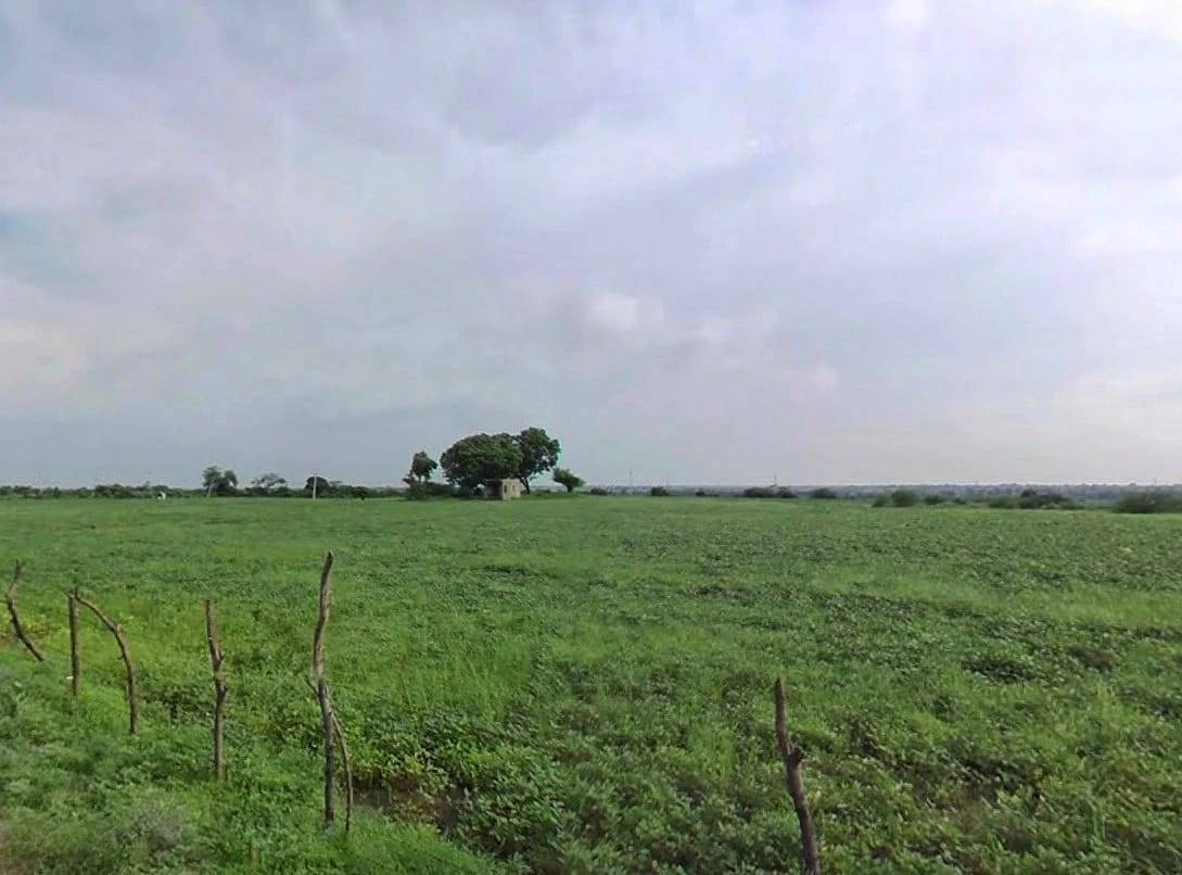 MJGV+W5W, Harsooliya, Rajasthan 303904, India
