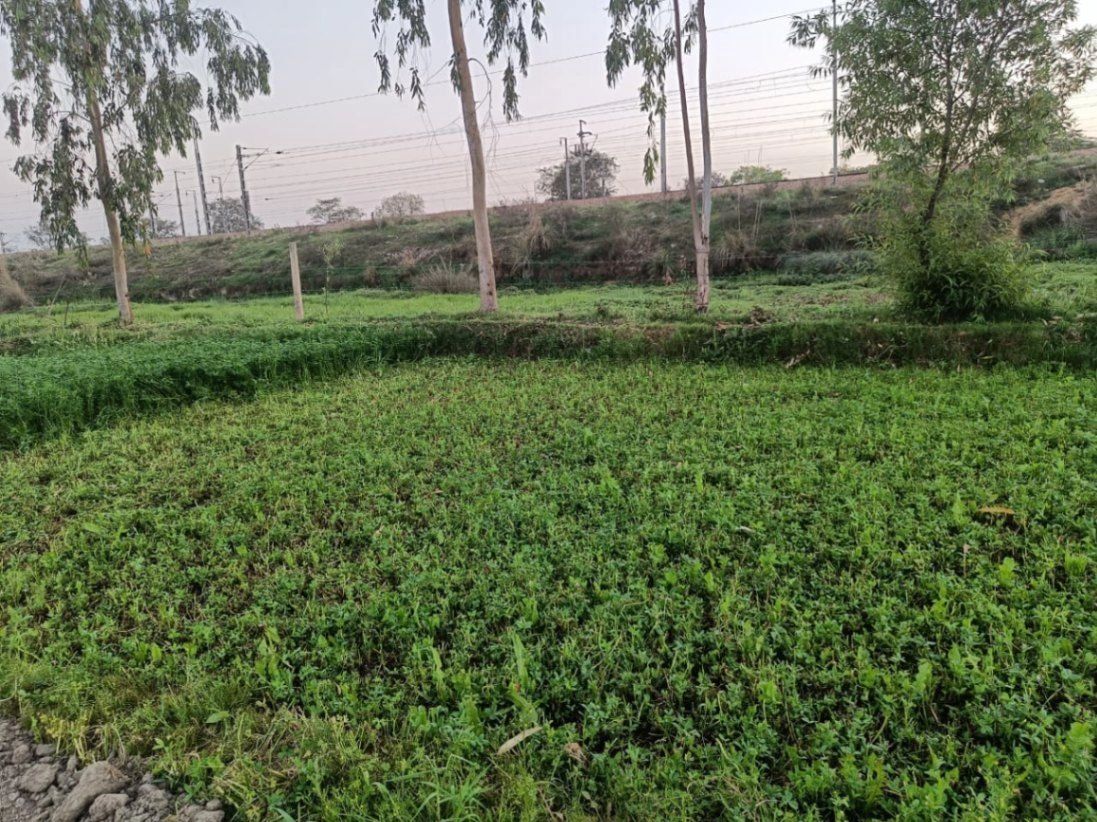 Gharwari, Rajasthan 321201, India