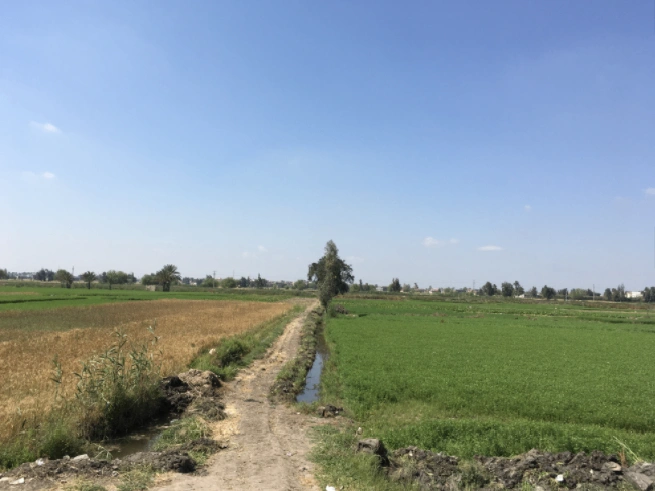 Pinan, Rajasthan, India