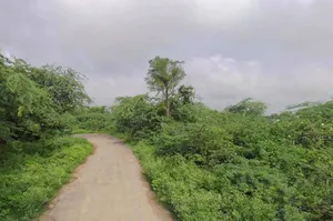 JRHQ+CC Tulsidas Ji Ki Sarai, Rajasthan, India preview 3