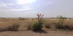 Damdama, Madhya Pradesh, India preview 3