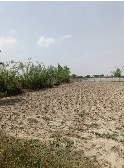 Simiriya Tanka, Madhya Pradesh 475330, India preview 2