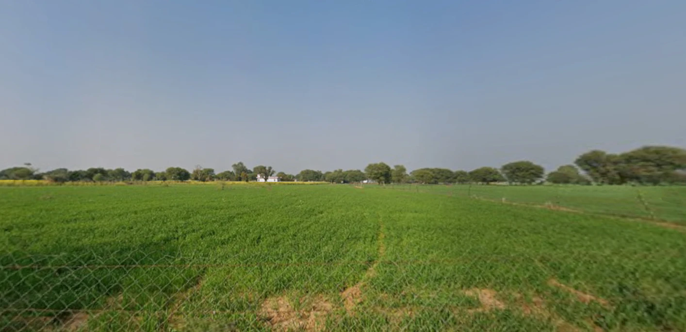 Sutana, Haryana 132105, India
