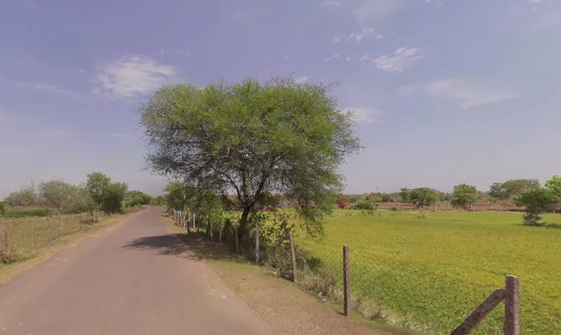 Mokhala, Chhattisgarh 493441, India preview 3