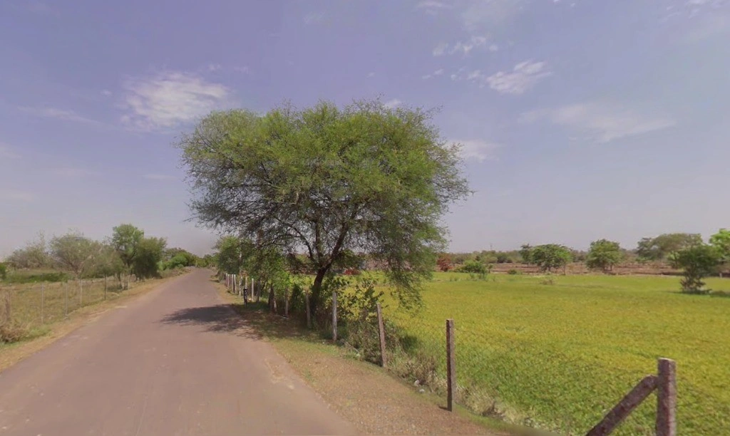 Mokhala, Chhattisgarh 493441, India