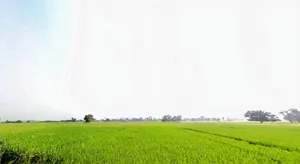 XPCV+CHH, Fullidumar Rd, Rata, Bihar 813207, India preview 3