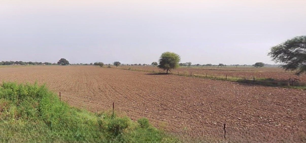 Gangoh, Uttar Pradesh 247341, India preview 2