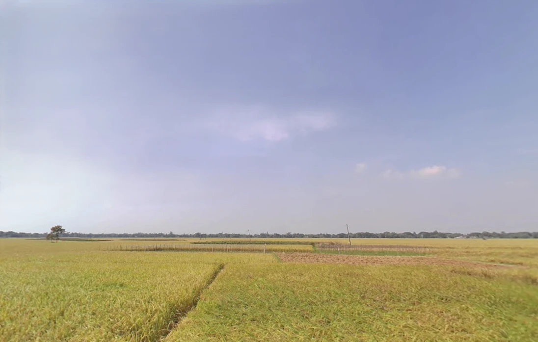 Bagnan, West Bengal 711303, India