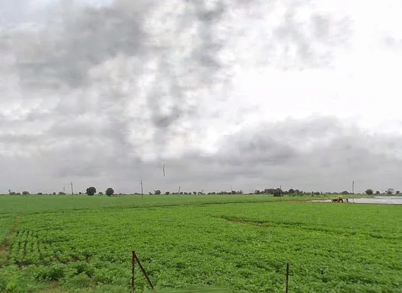 Sirali, Madhya Pradesh 461335, India preview 2