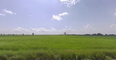 855M+Q3 Saidham, Maharashtra, India preview 3