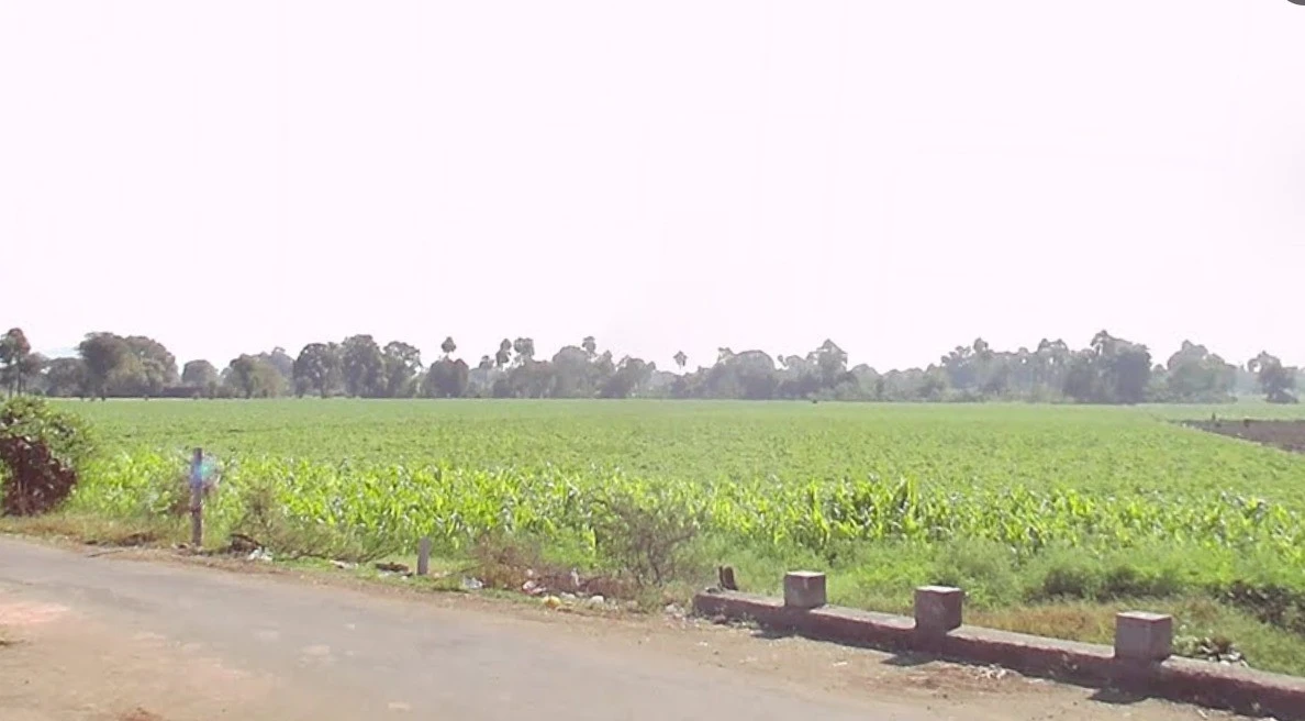 GRGH+W7W, Bhagora, Madhya Pradesh, India