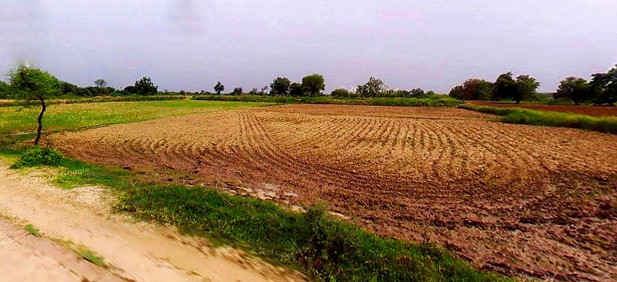 Chaumuhan, Uttar Pradesh 281406, India